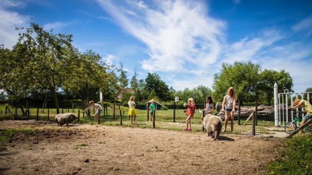 Welcome In - Oranjezon - Vakantiehuis 6 Personen 弗劳温普尔德 外观 照片